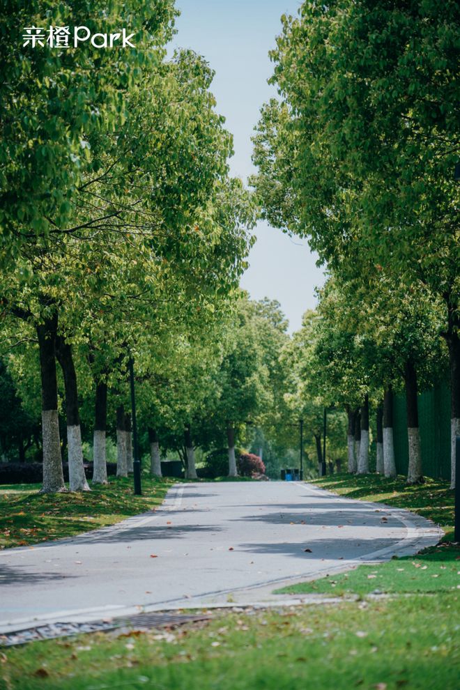 界级中轴线”承包你所有“未来想象”！AG真人国际未来是什么样