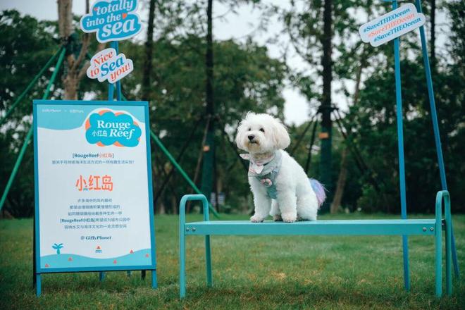 界级中轴线”承包你所有“未来想象”！AG真人国际未来是什么样？这条“世(图13)