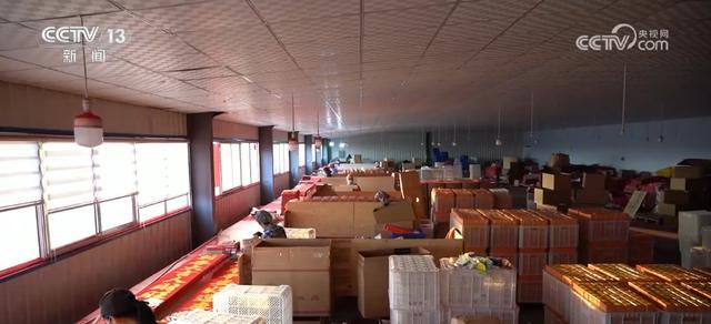 齐头并进 新品添巧思催热“年经济”新热力AG真人登录“创意+科技”“传统+新潮”(图15)